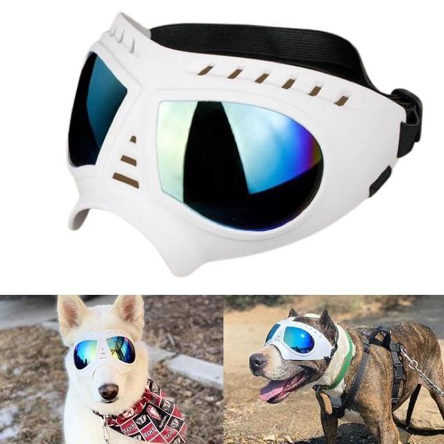 Waterproof Dog Goggles - Kudos Gadgets