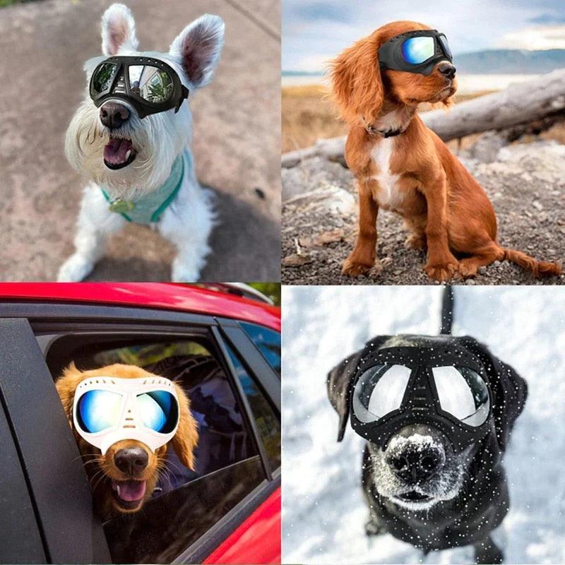 Waterproof Dog Goggles - Kudos Gadgets
